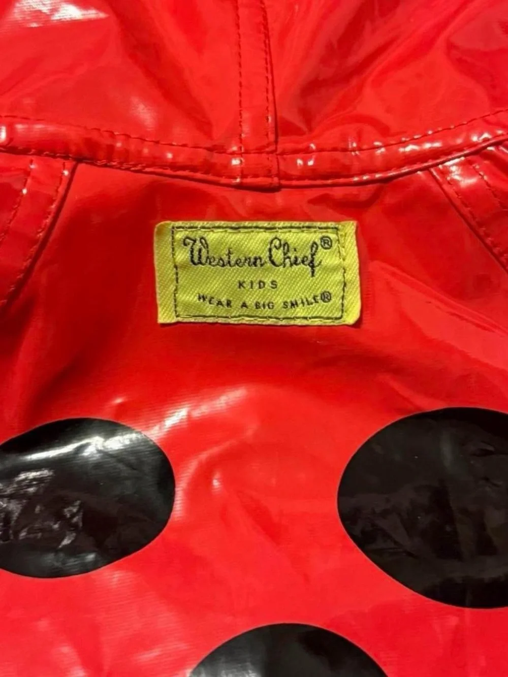 Western Chief size 2t